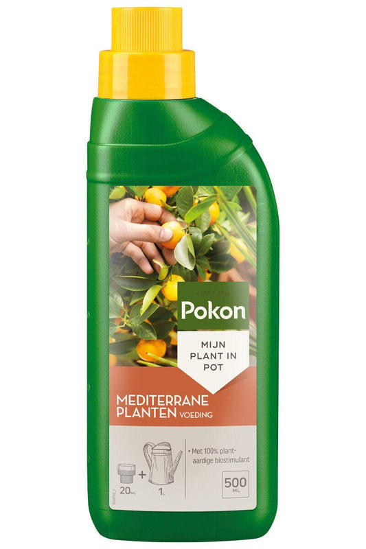 Pokon Mediterraner Pflanzendünger 500 ml – Pflegeleicht & Effektiv