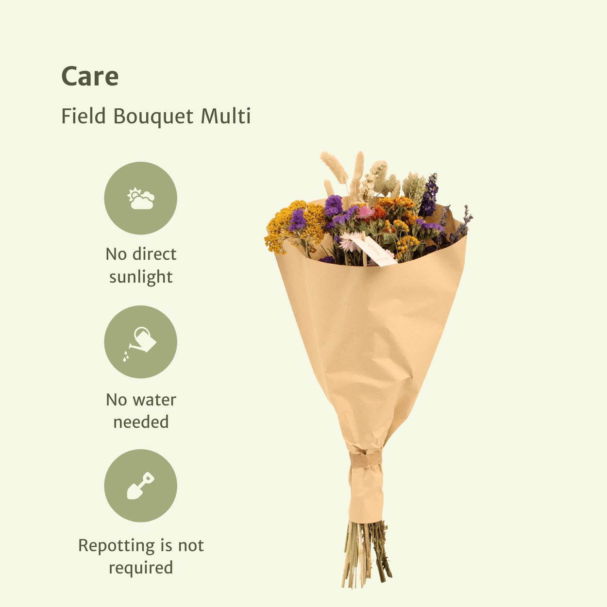Trockenblumenstrauß Feldblumen Multi – langlebige Naturdeko
