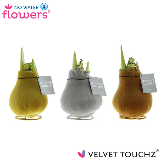 No Water Flowers Velvet Touchz Metallic Mix – 3er Set Ø7 cm
