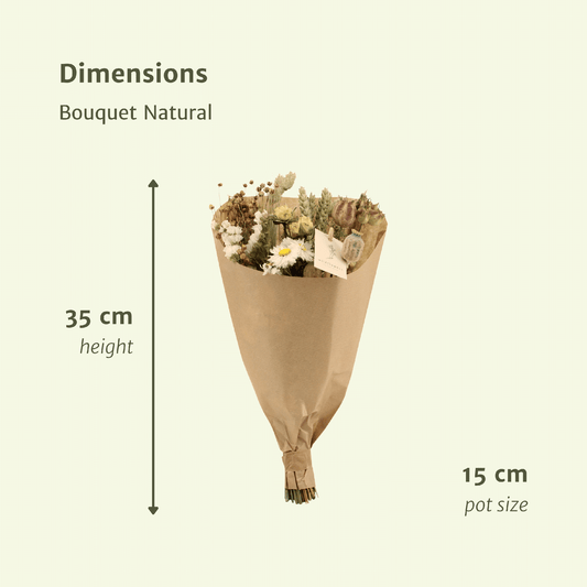 Trockenblumen Feldblumenstrauß Natürlich Ø15cm