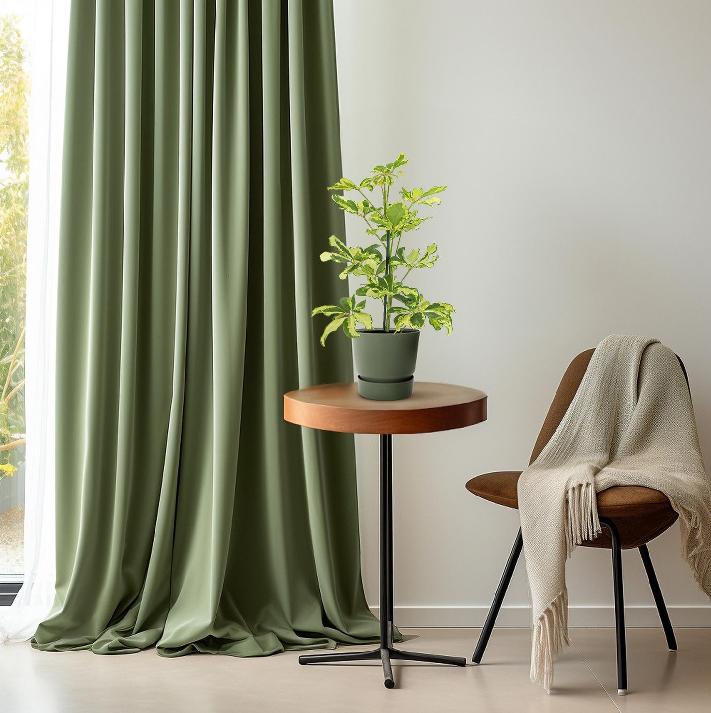 Schefflera Charlotte – Pflegeleichte Zimmerpflanze Ø13cm