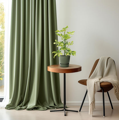 Schefflera Charlotte – Pflegeleichte Zimmerpflanze Ø13cm