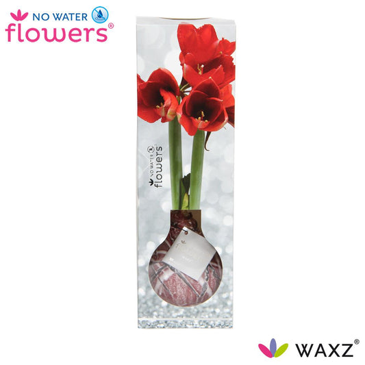 No Water Flowers Waxz® Luxury Box Art Bordeaux Ø15cm