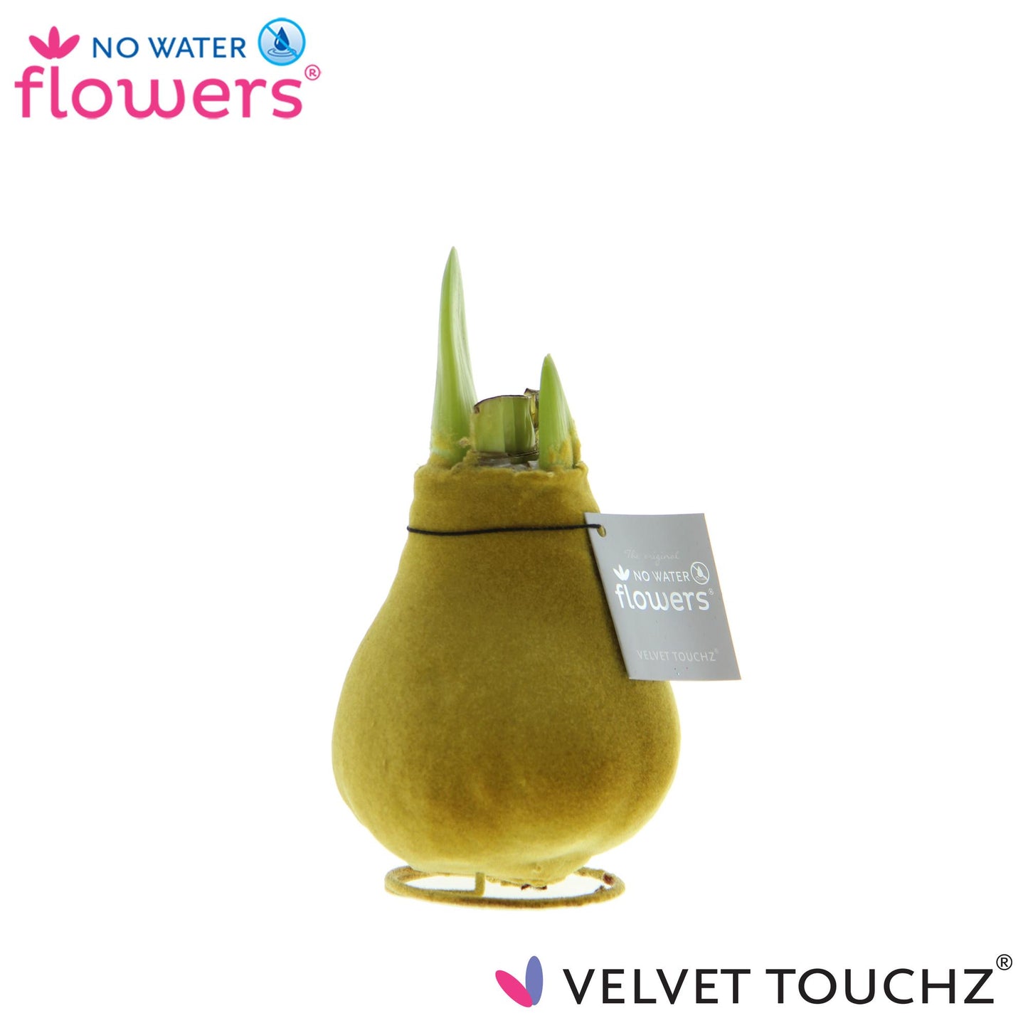 No Water Flowers Velvet Touchz® Gold – 15 cm pflegeleichte Kunstpflanze