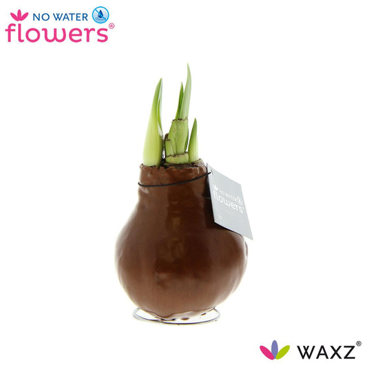 No Water Flowers Waxz® Metallic Copper Ø15cm