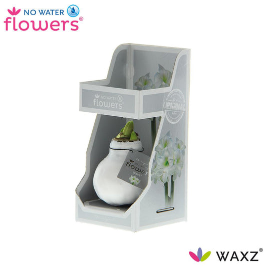 No Water Flowers Waxz® Weiß im Geschenkkarton Ø15cm