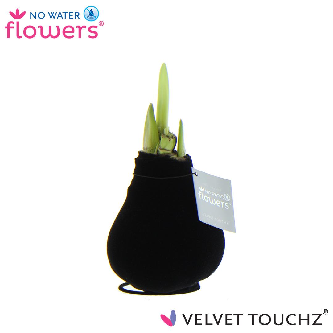 No Water Flowers Velvet Touchz® Black – Pflegeleichte Deko-Blume Ø15cm