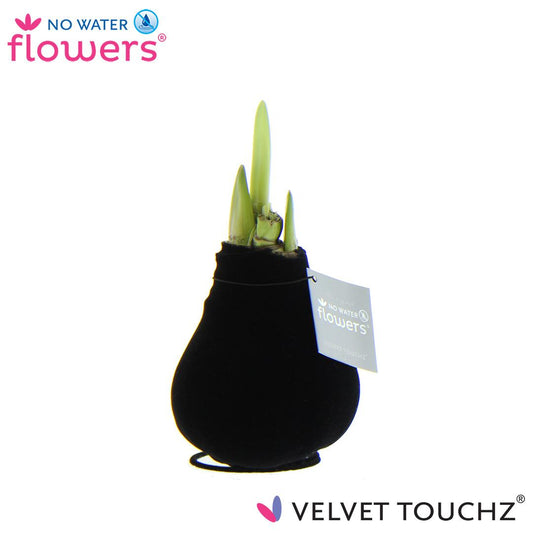No Water Flowers Velvet Touchz® Black – Pflegeleichte Deko-Blume Ø15cm