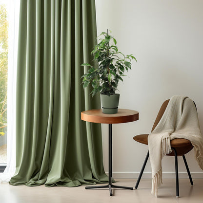 Ficus Benjamina Danielle – Pflegeleichter Zimmerbaum Ø14cm