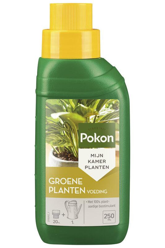 Grünpflanzenfutter 250 ml – Organische Pflanzennahrung