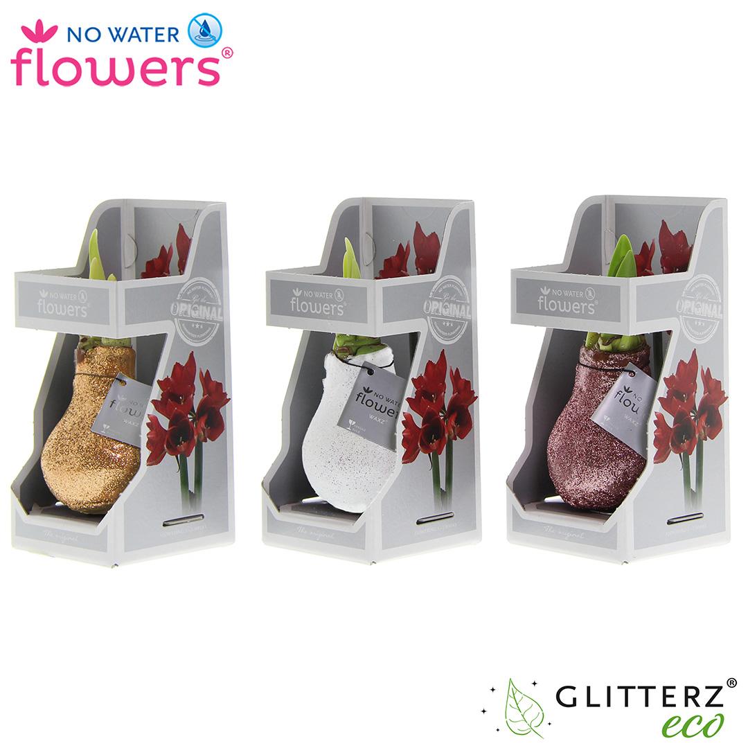 No Water Flowers Glitterz Charm Mix – 3er Set in Geschenkbox