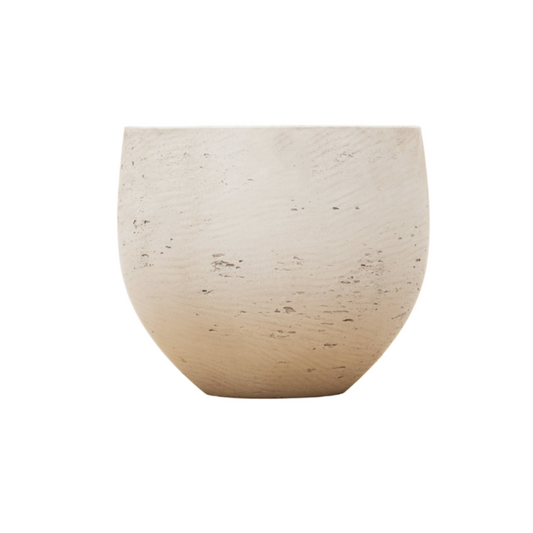 Jumbo Orb Beige Washed – Stilvolle pflegeleichte Zimmerpflanze XS