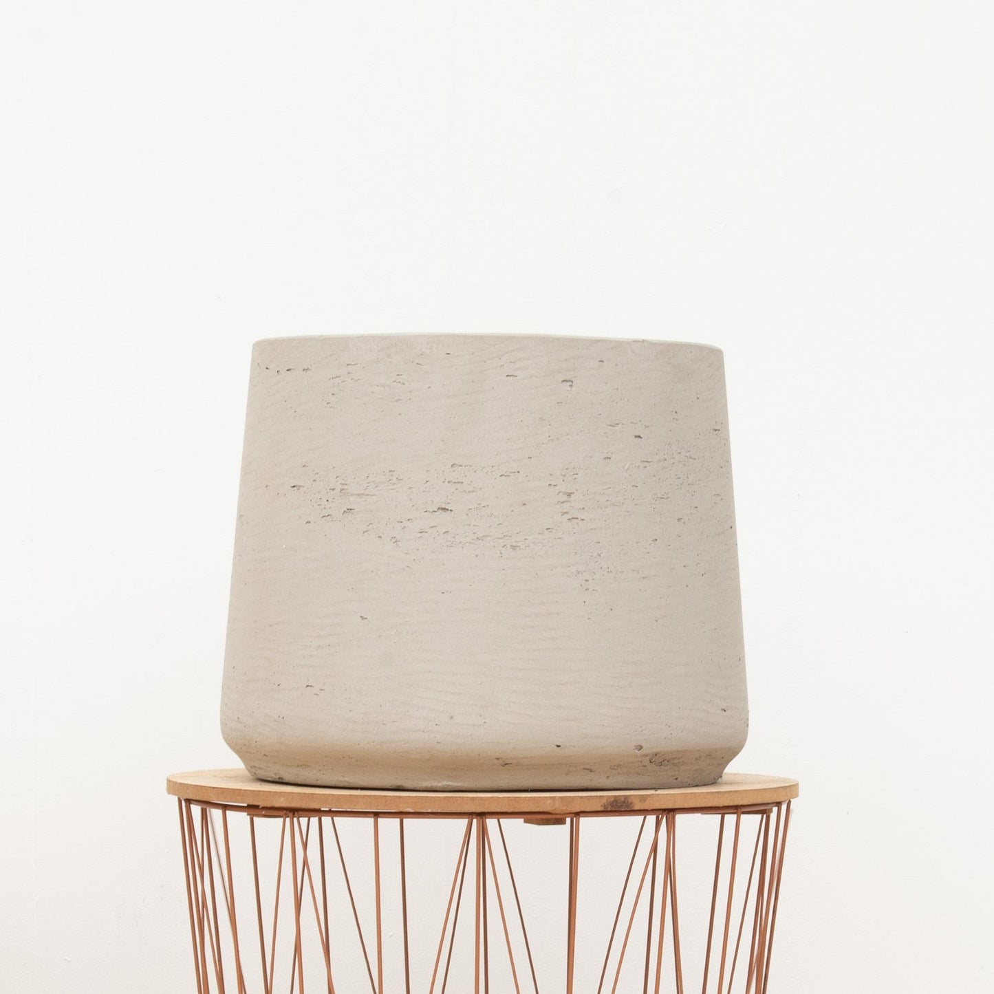 Jumbo Orb Beige Washed – Pflegeleichte Zimmerpflanze D56 x H47