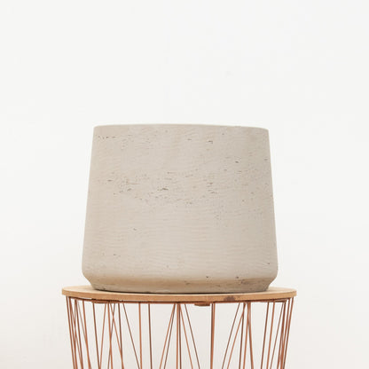 Jumbo Orb Beige Washed – Pflegeleichte Zimmerpflanze D56 x H47