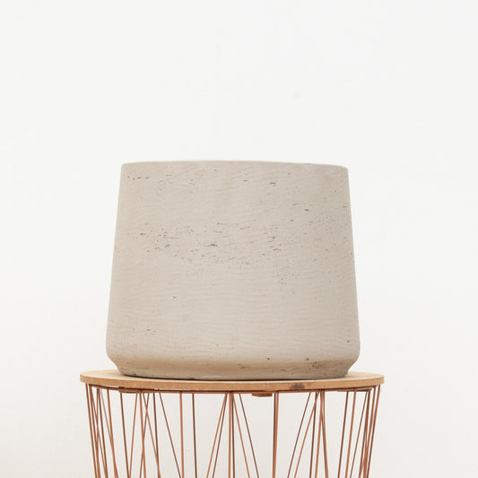 Jumbo Orb Beige Washed – Pflegeleichte Zimmerpflanze D56 x H47