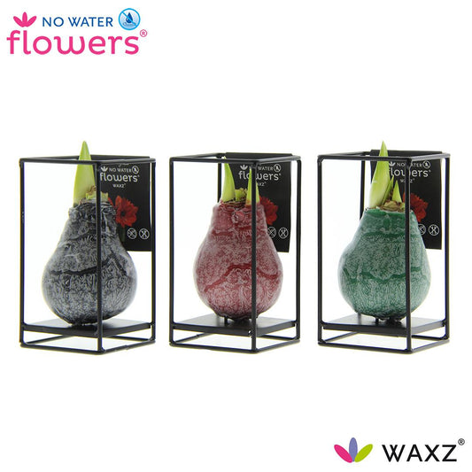 No Water Flowers Industrial Mix 3er Set Ø7-15cm