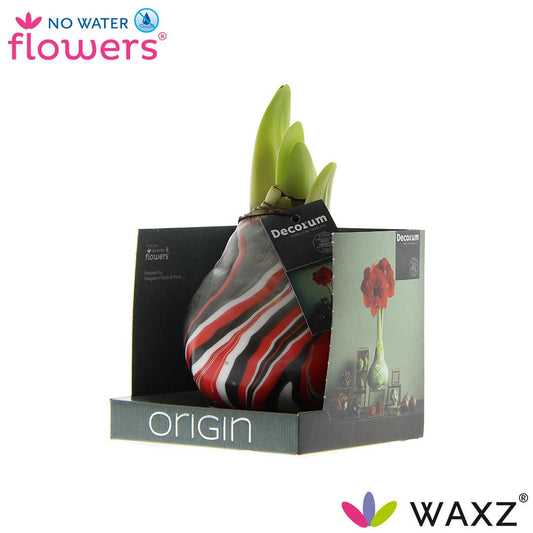 No Water Flowers Waxz® Artooz Earth Red Boxz – 15 cm