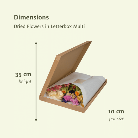 Trockenblumen im Briefkasten – Bunte Deko-Mischung