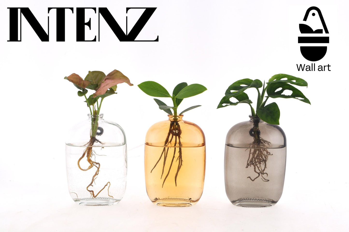 Zimmerpflanzen Mix im Santiago Glas Wall Art – 3er Set