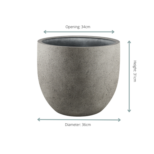 Pot Grigio New Egg Natural Concrete – Moderner Pflanztopf D36 x H31