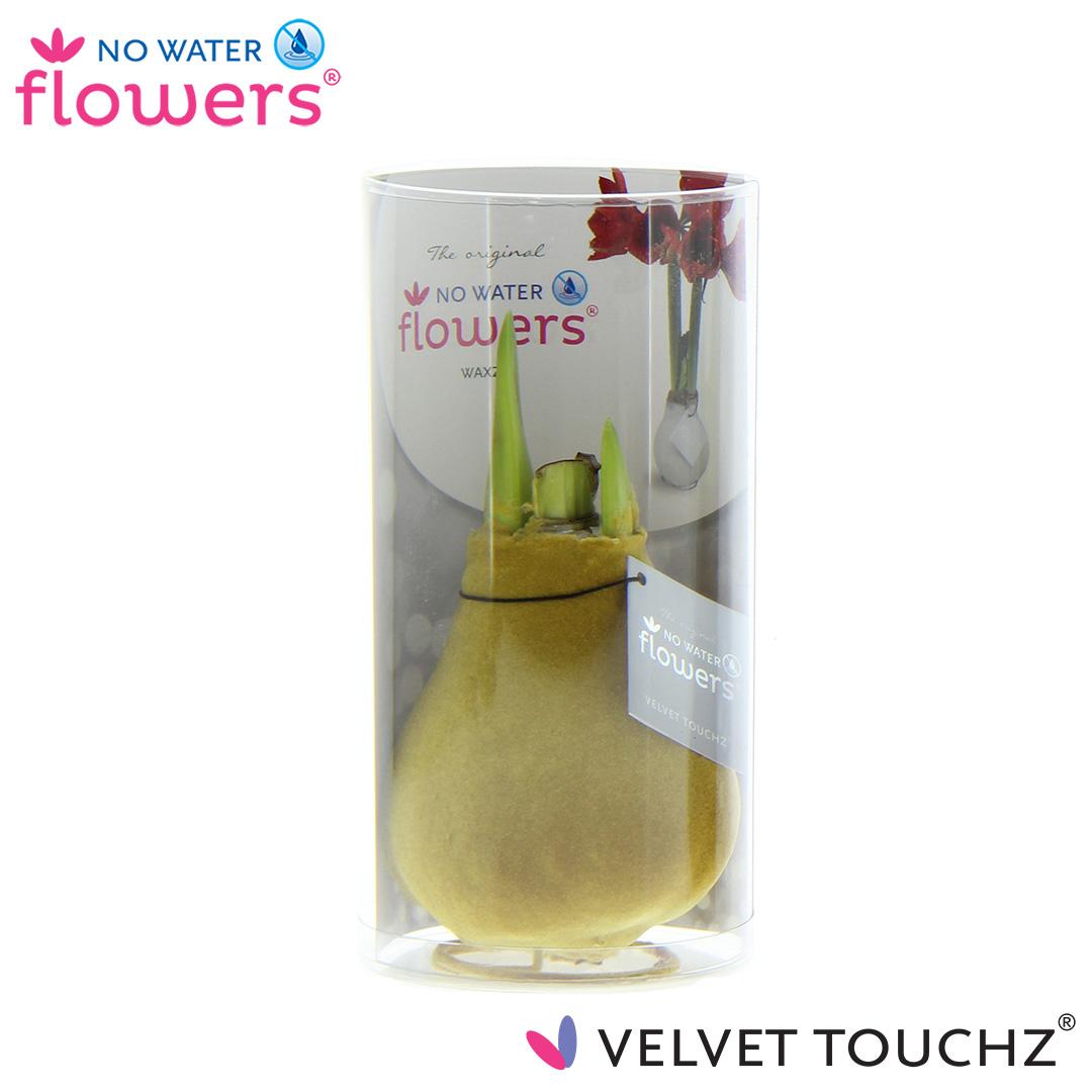No Water Flowers Velvet Touchz® Gold – Pflegeleichte Deko-Blumen Ø15cm