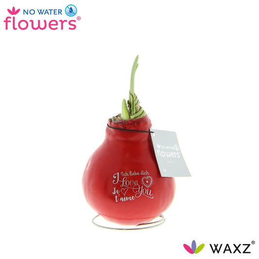 No Water Flowers Waxz® Message Printz Valentijn Ø20cm